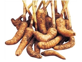 생천마(특)5kg
